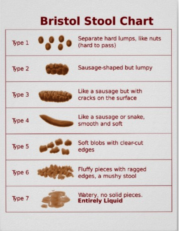 Bristol Stool Chart