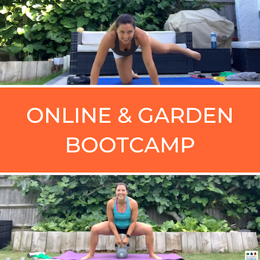 Online Zoom Bootcamp