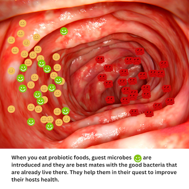 Probiotics