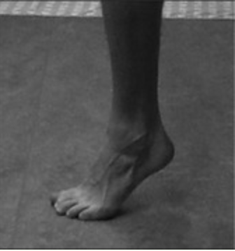 Isometric Tiptoes